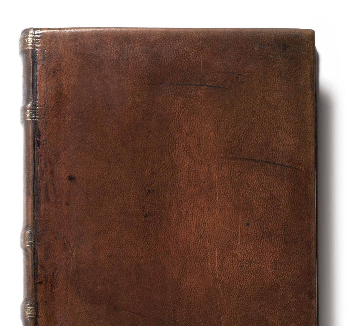The Hávamál — A Modern Reading (Study Edition)